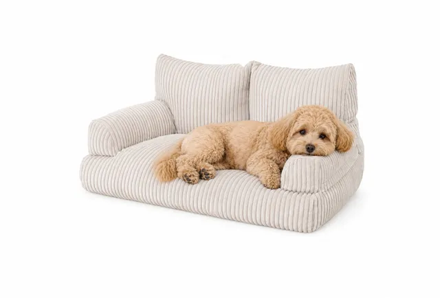 shappy-pet-sofa-corduroy-mini-canap-pour-chats-et-petits-chiens image 1