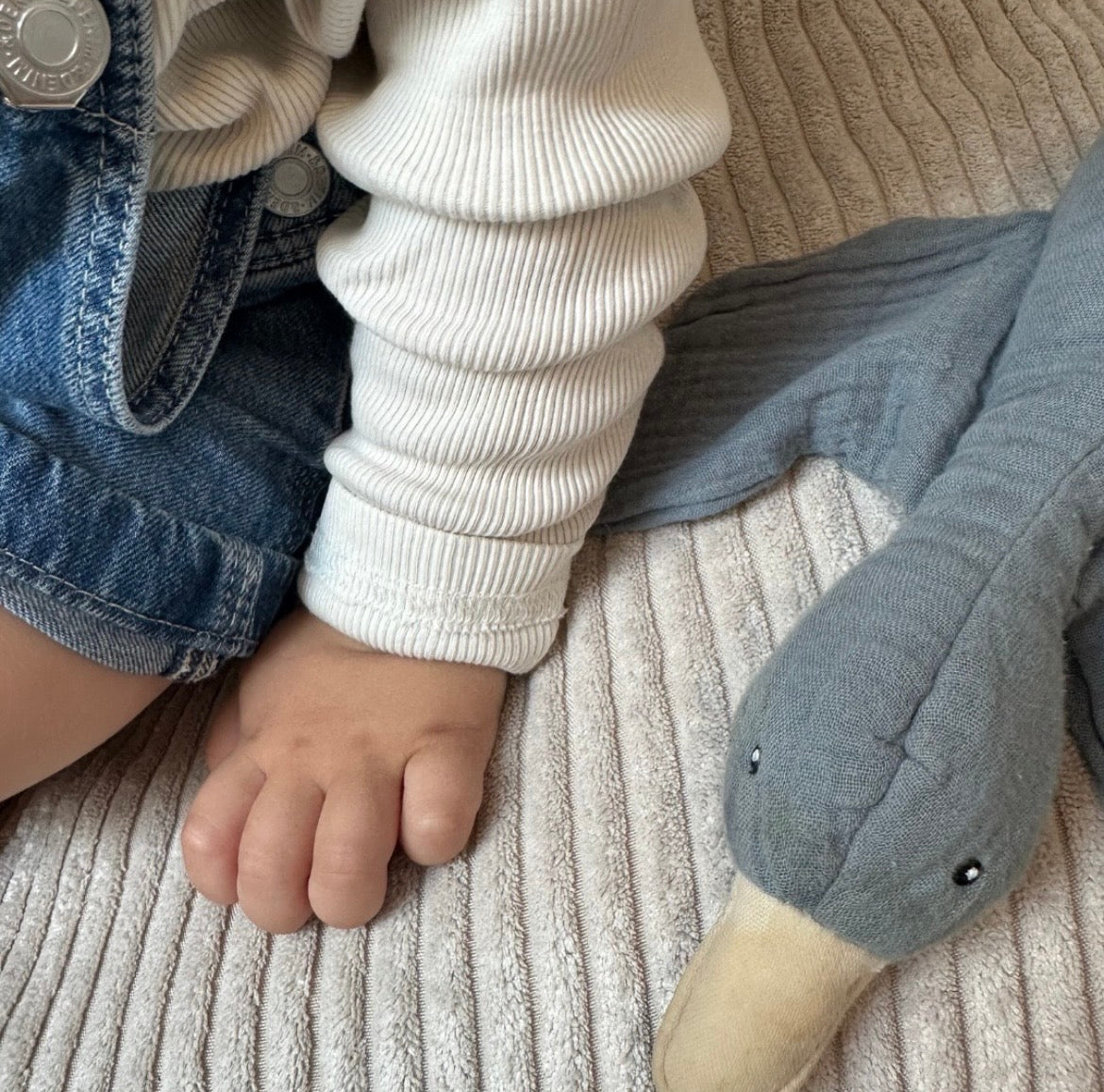 meowbaby-pouf-ours-aesthetic-velours-corduroy-larges-c-tes image 4