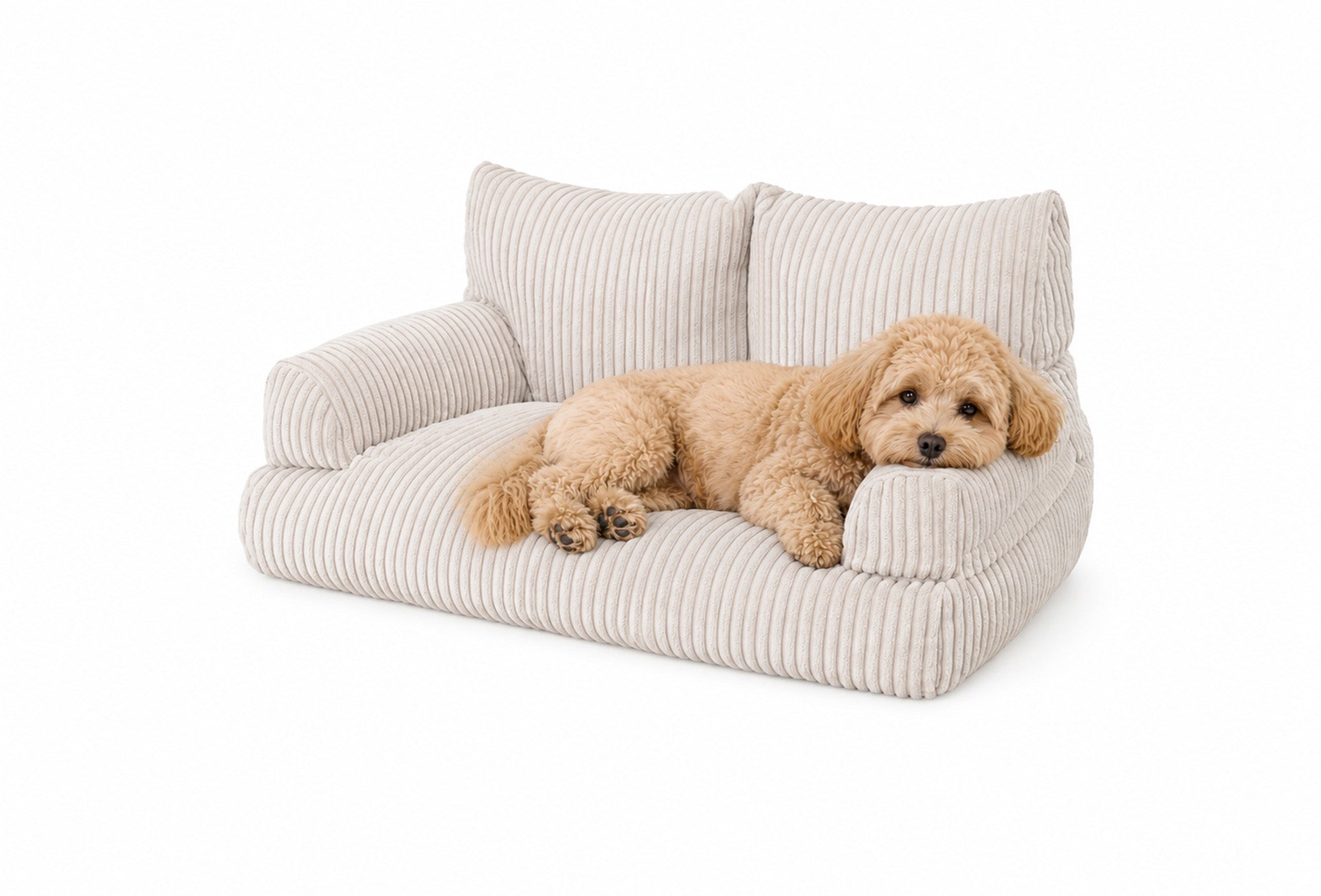 shappy-pet-sofa-corduroy-mini-canap-pour-chats-et-petits-chiens image 1